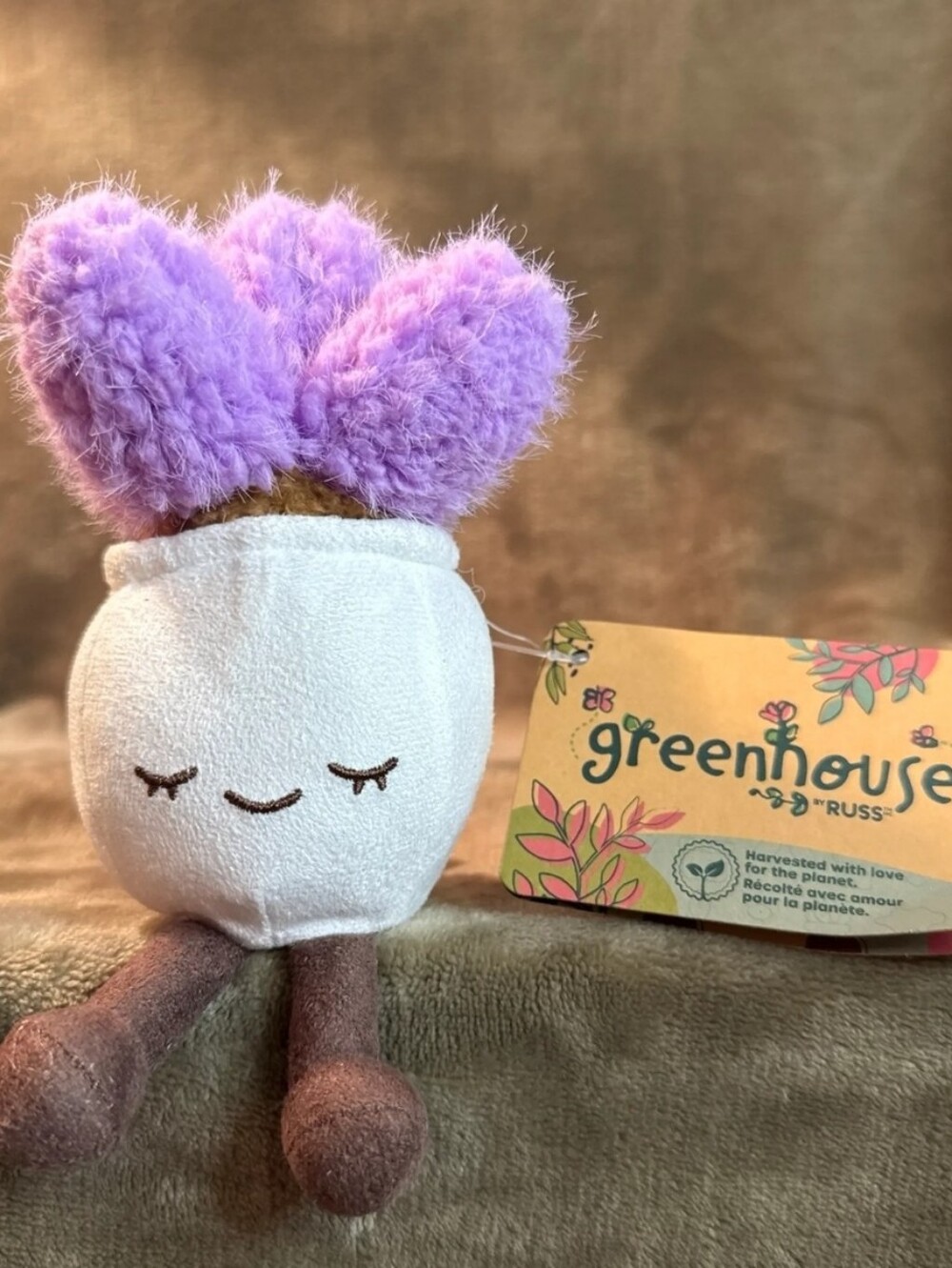 🌱 Greenhouse By Russ Quincy the Succulent 🪴 Mini 6” Plush Potted Plant BNWT
